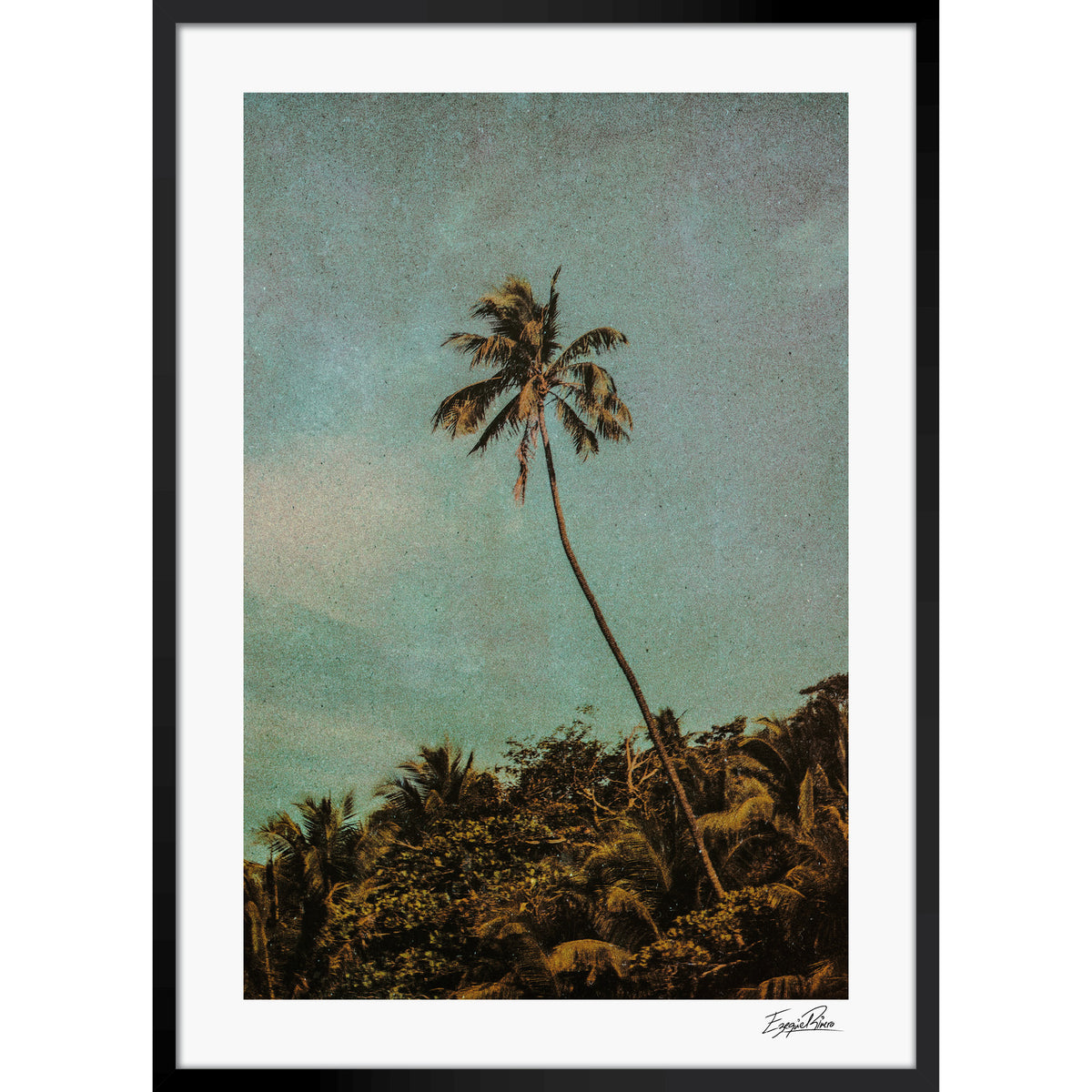 Coco Jungle