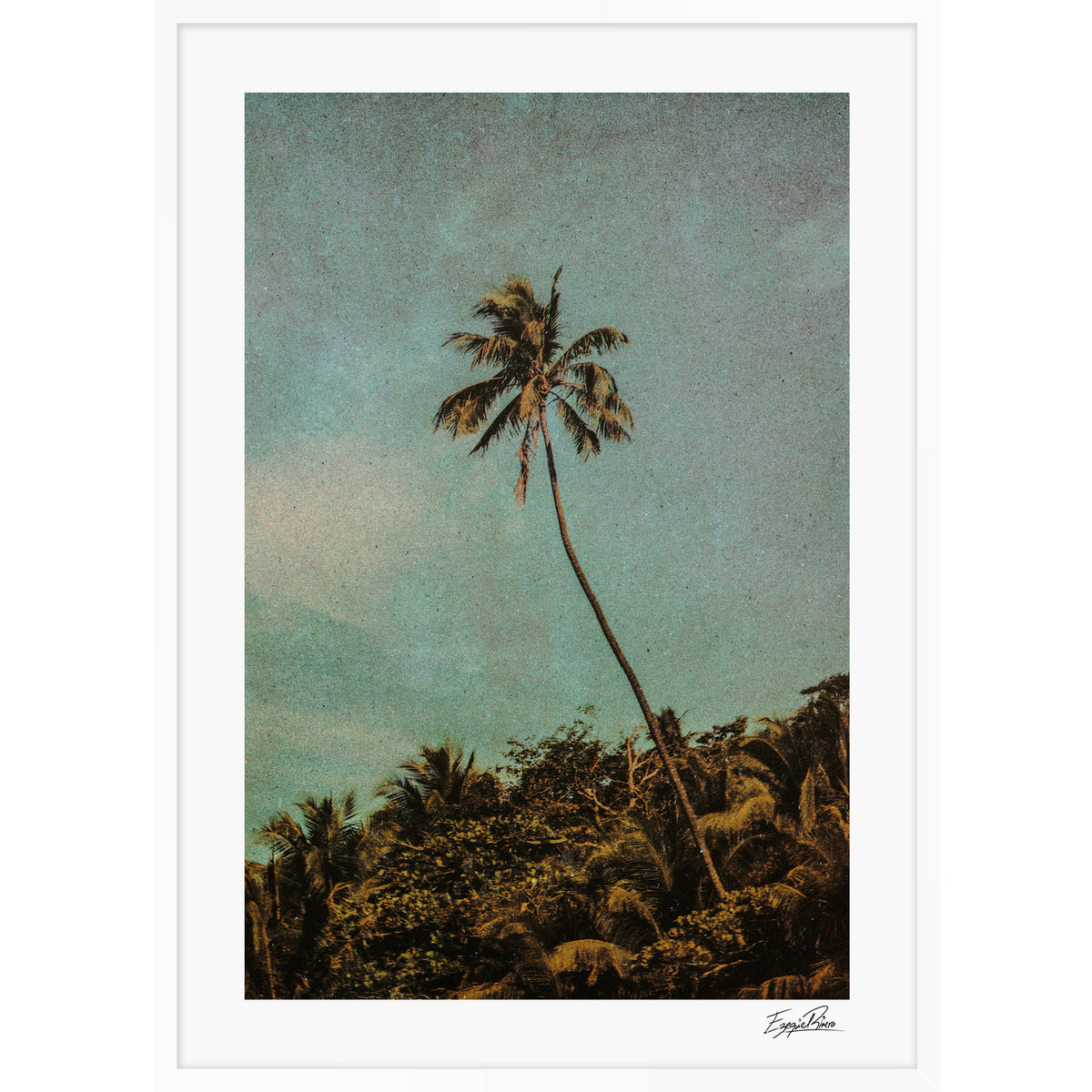 Coco Jungle