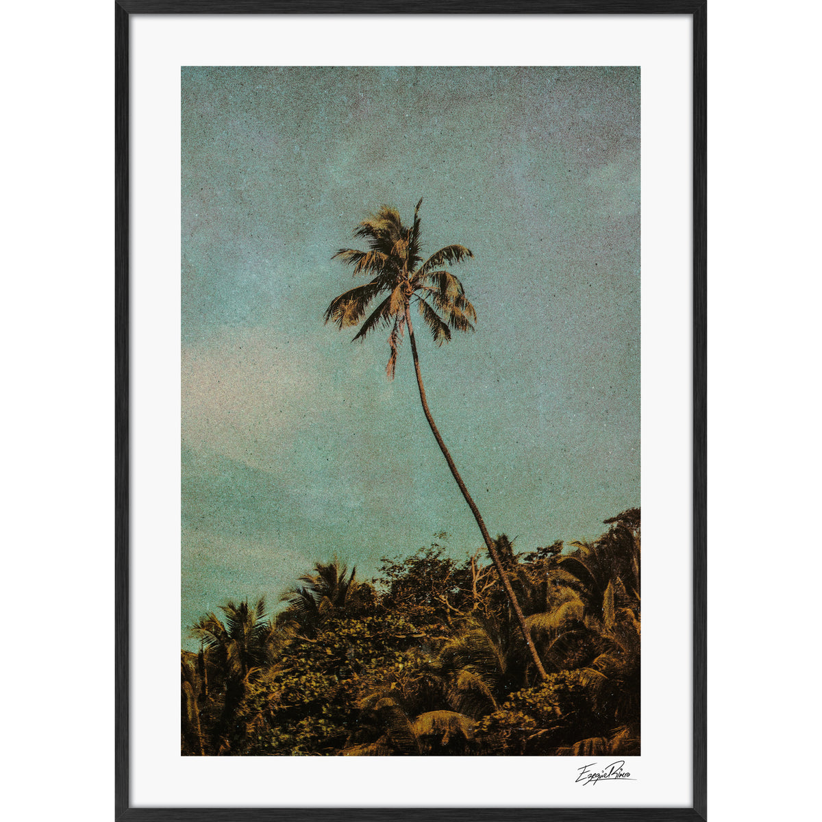 Coco Jungle