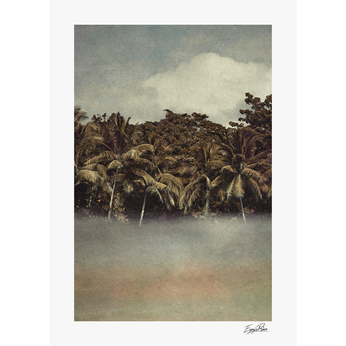 Coconut Dream