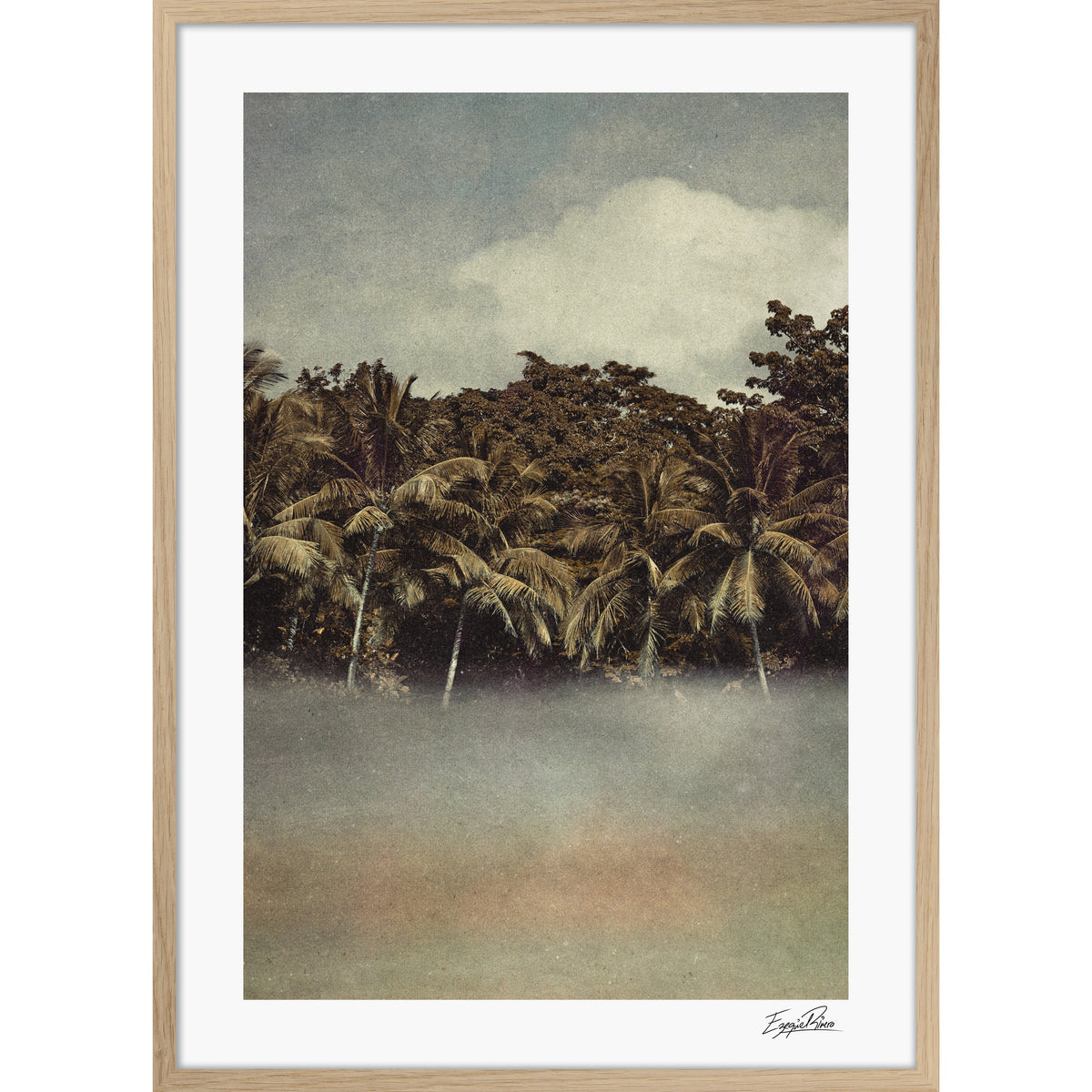 Coconut Dream