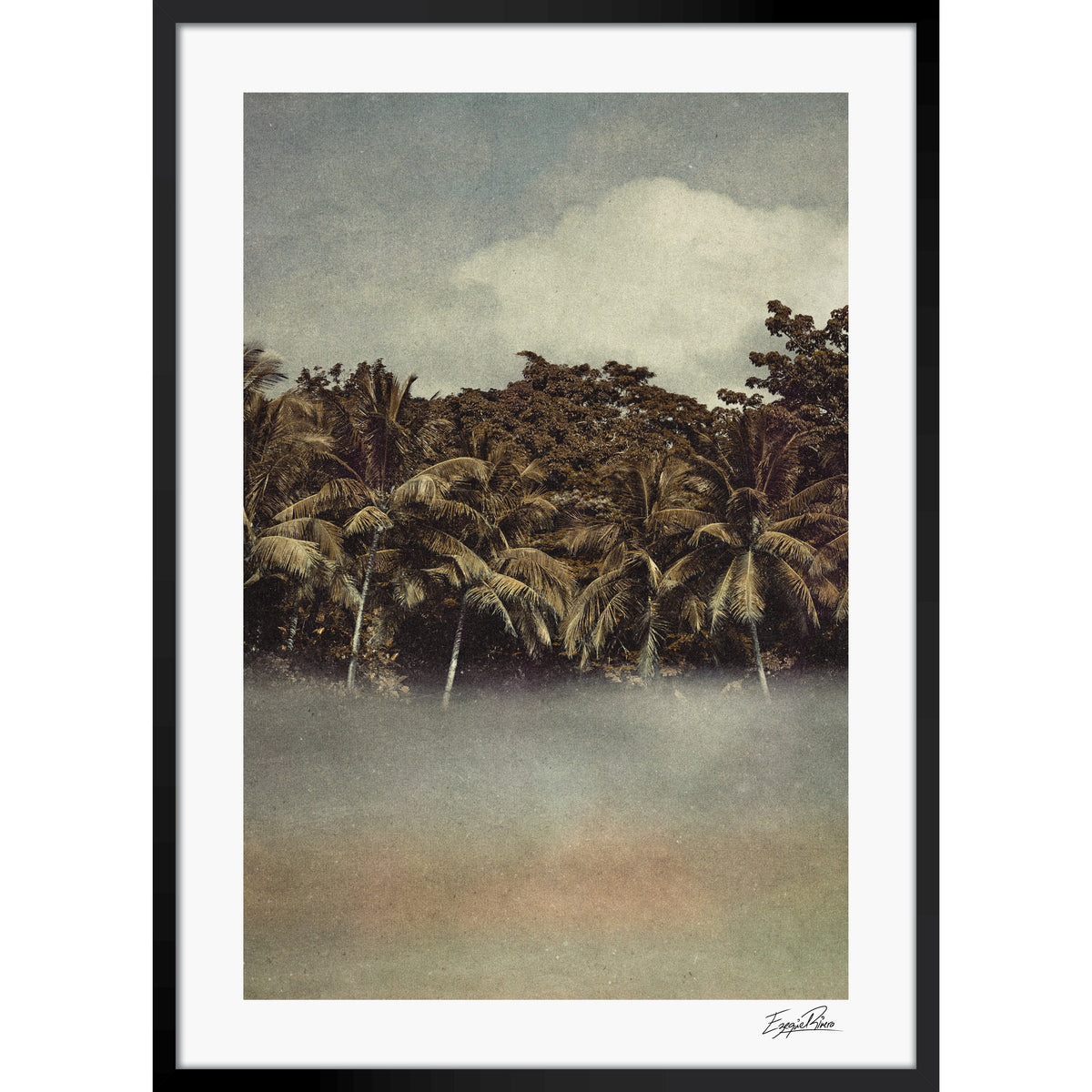 Coconut Dream