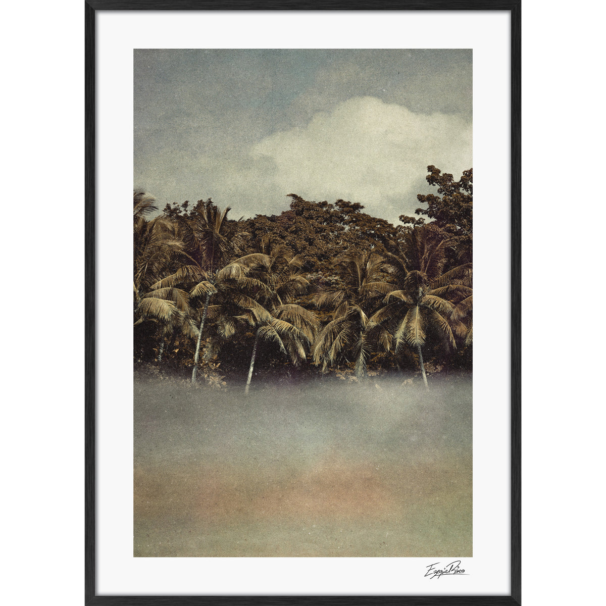 Coconut Dream