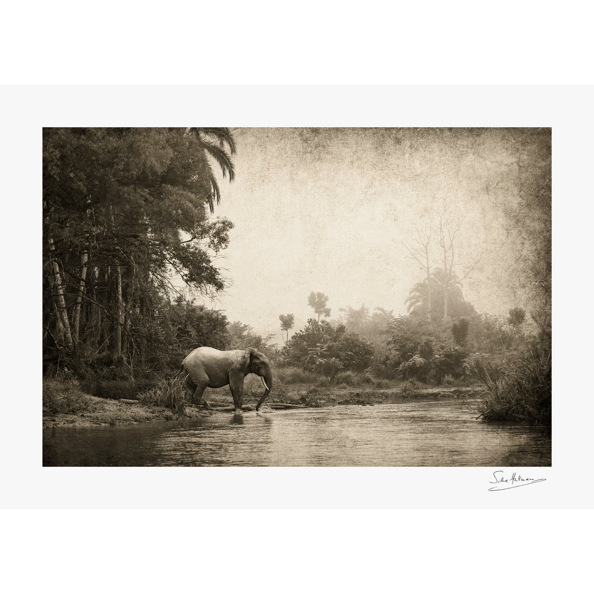 Congo - Crossing