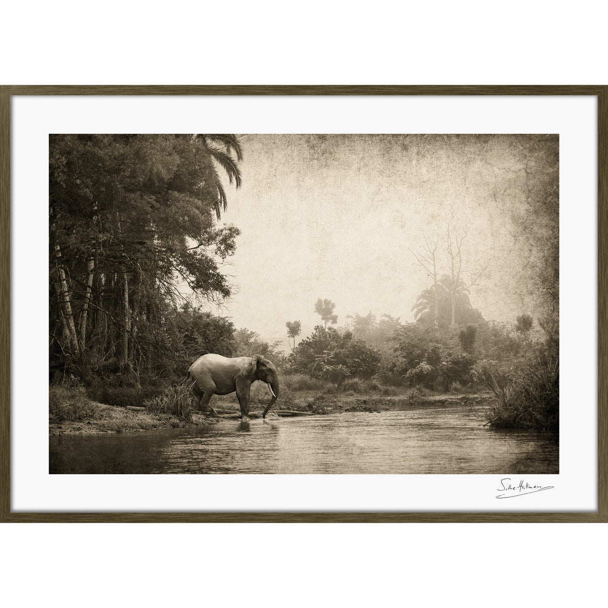 Congo - Crossing