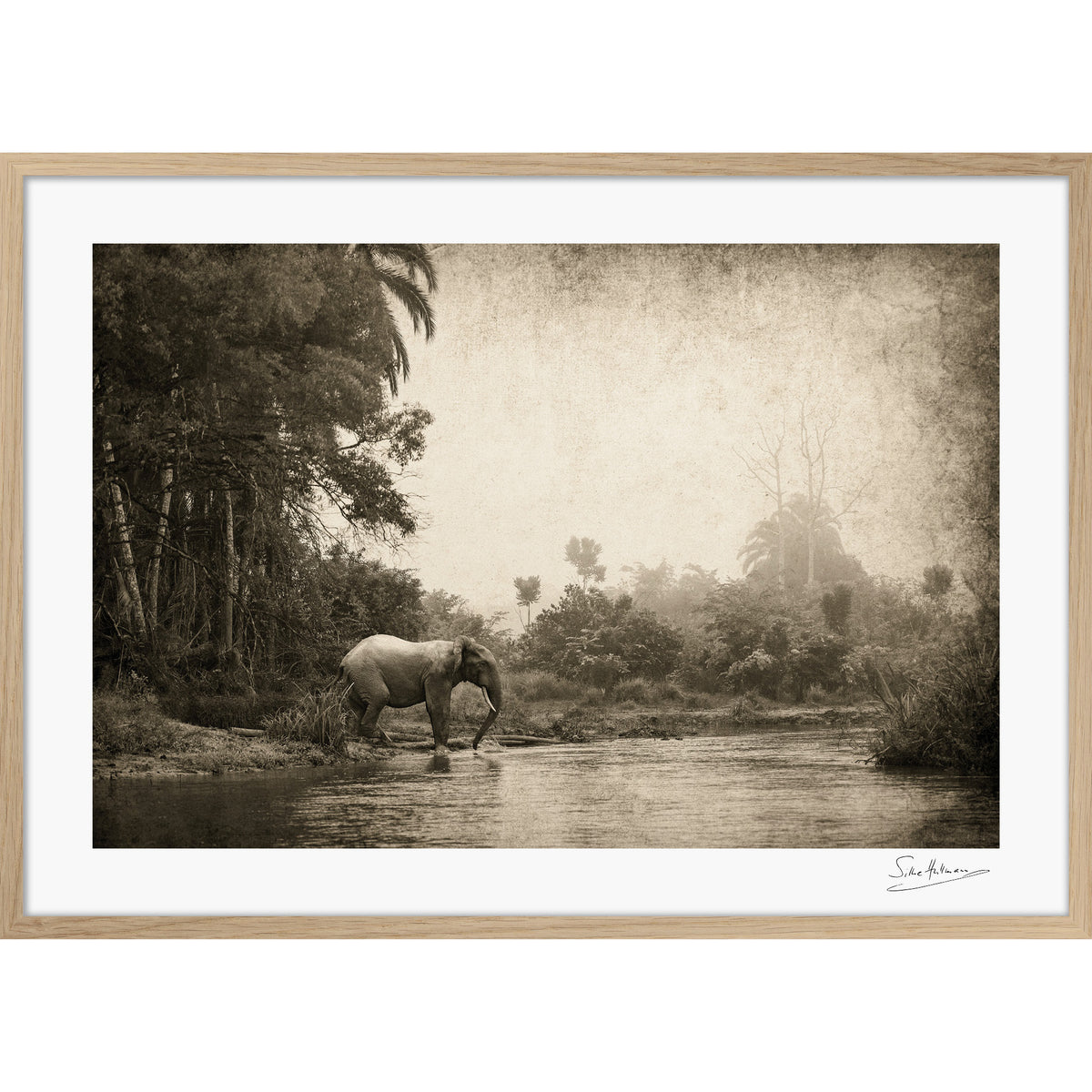 Congo - Crossing