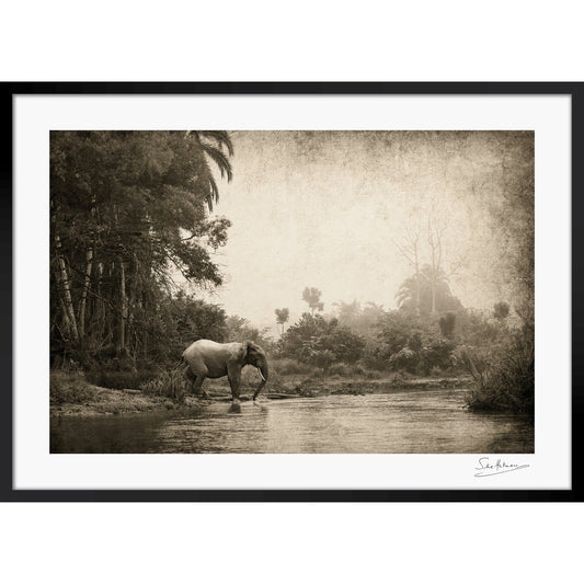 Congo - Crossing