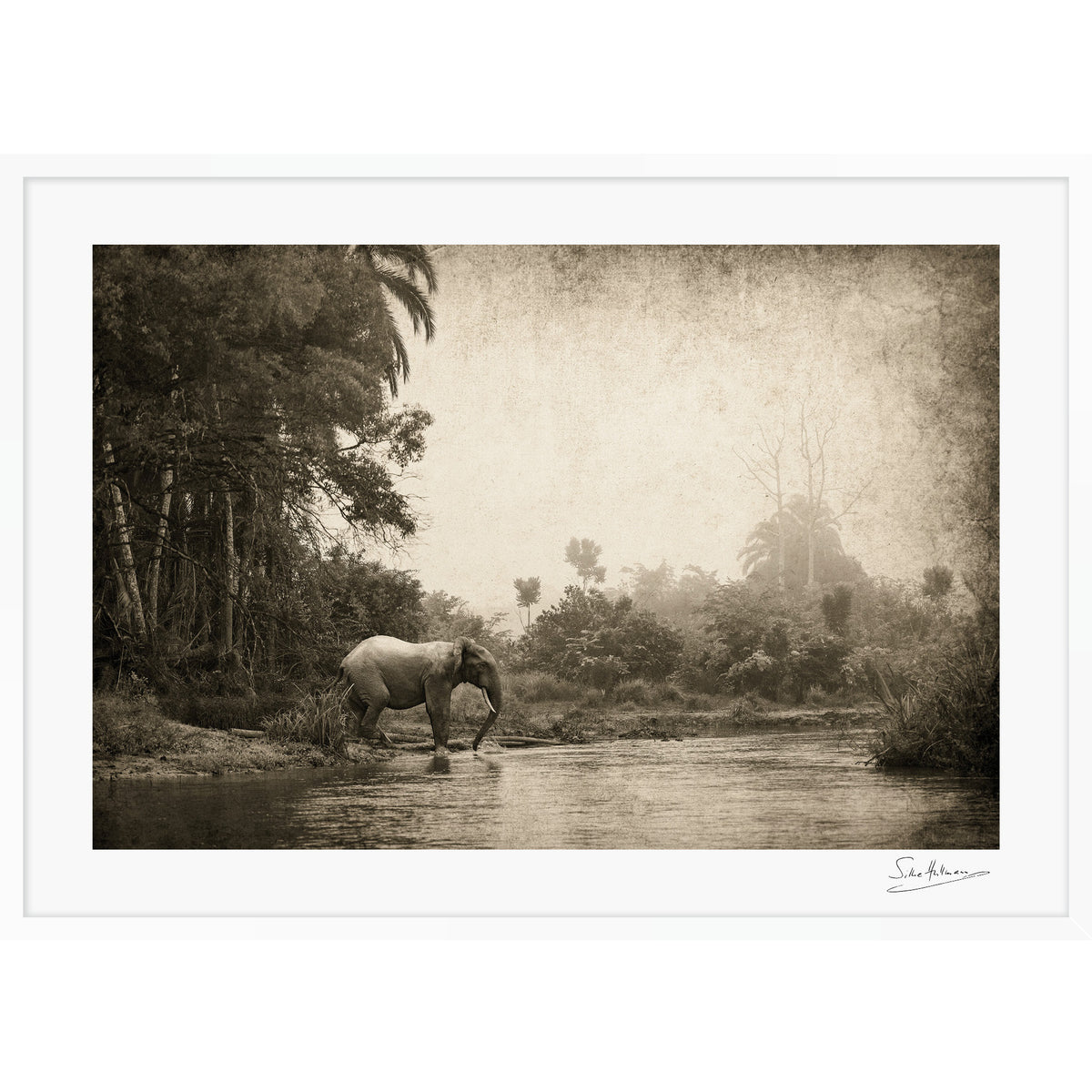 Congo - Crossing