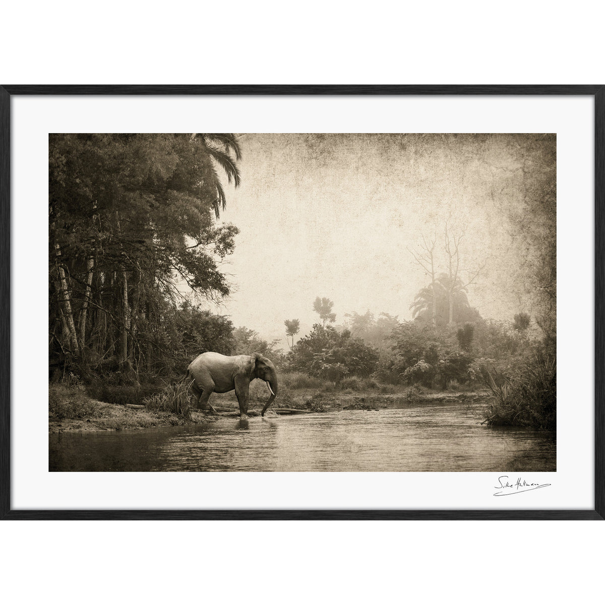 Congo - Crossing