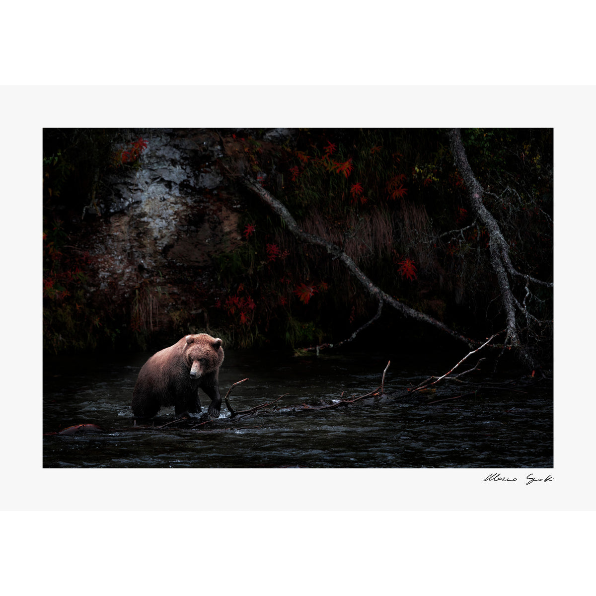 Dark Autumn