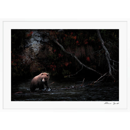 Dark Autumn