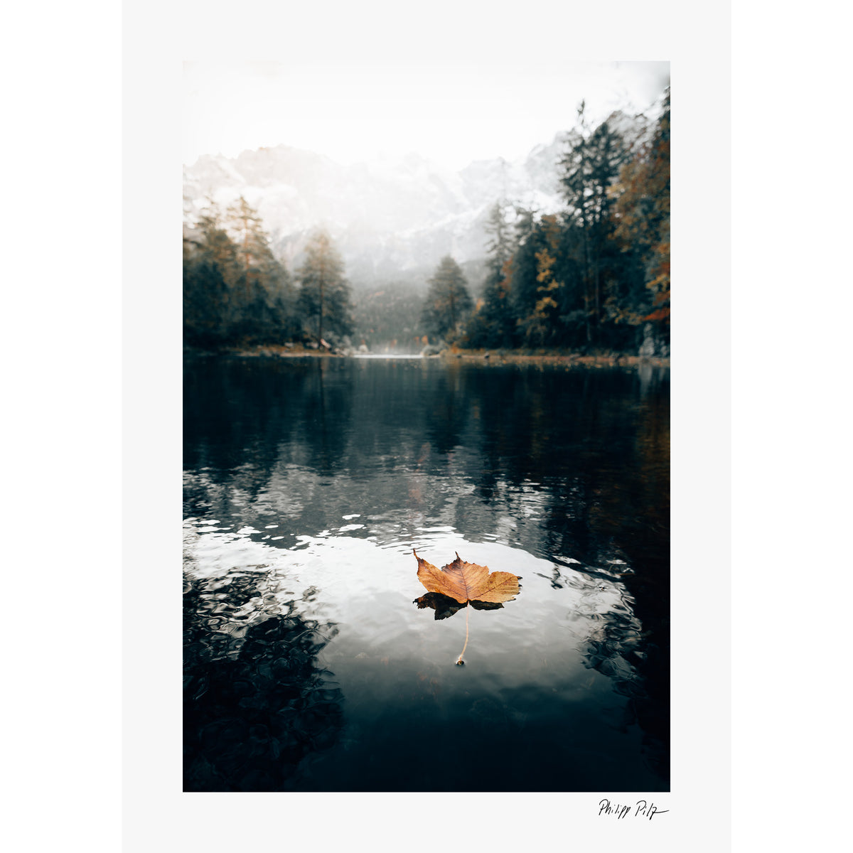 Fall colors