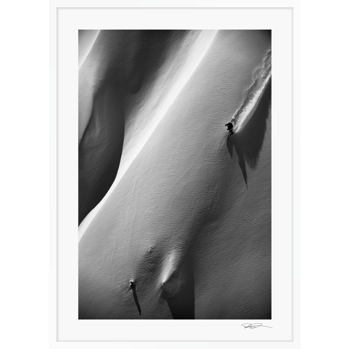 Untamed tracks