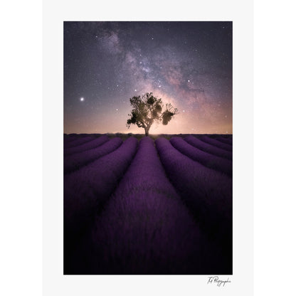 Lost in stars