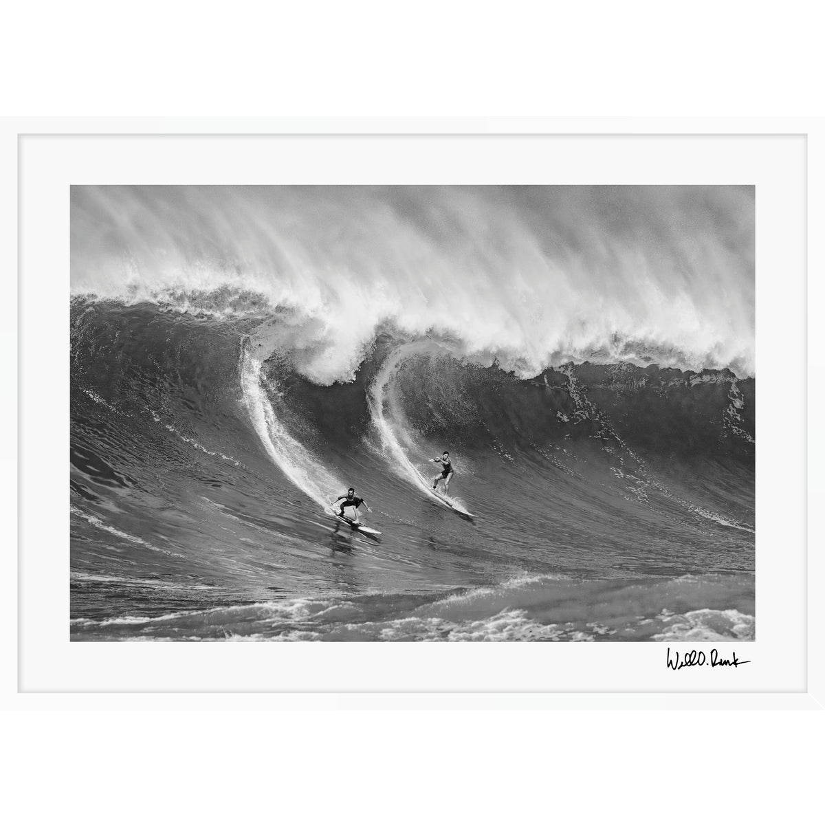 Monster