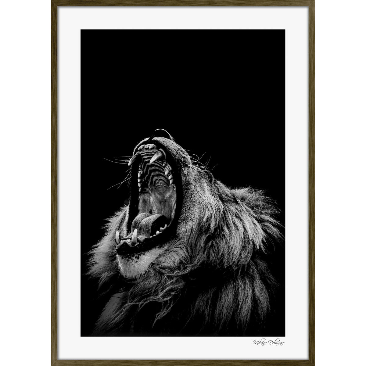 Roarrr