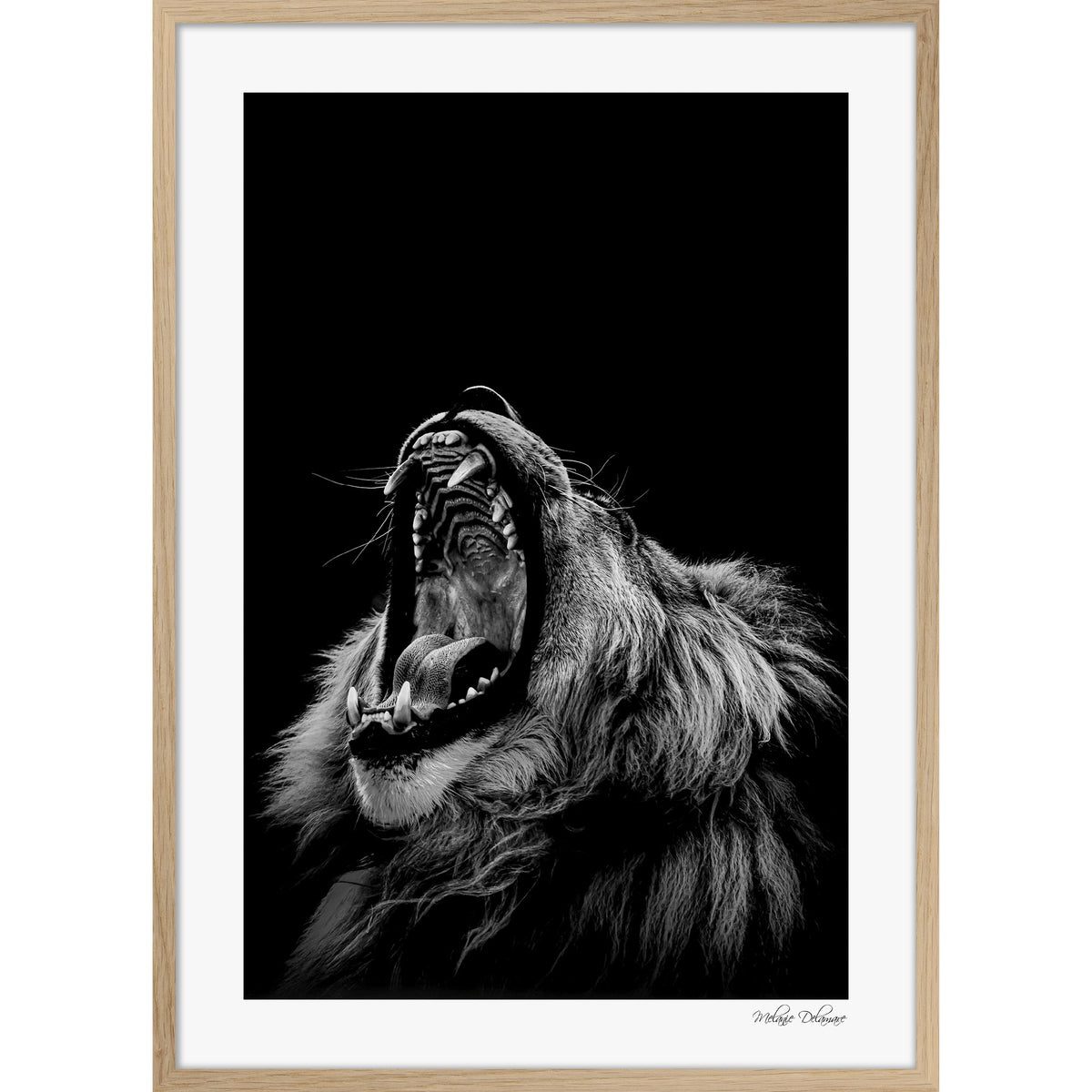 Roarrr