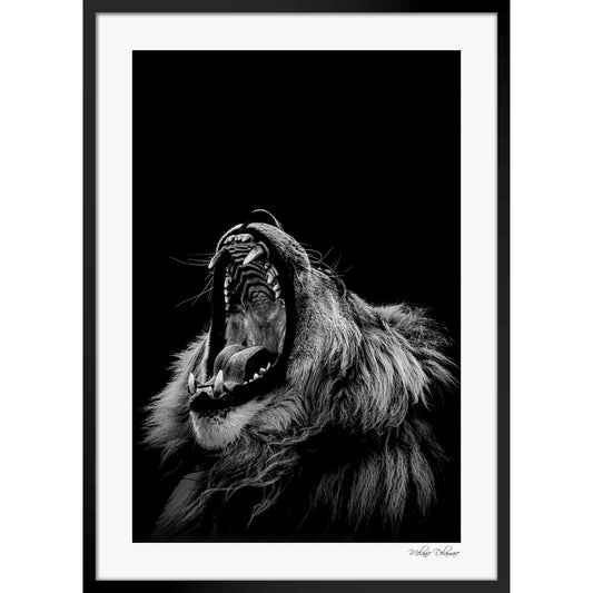 Roarrr