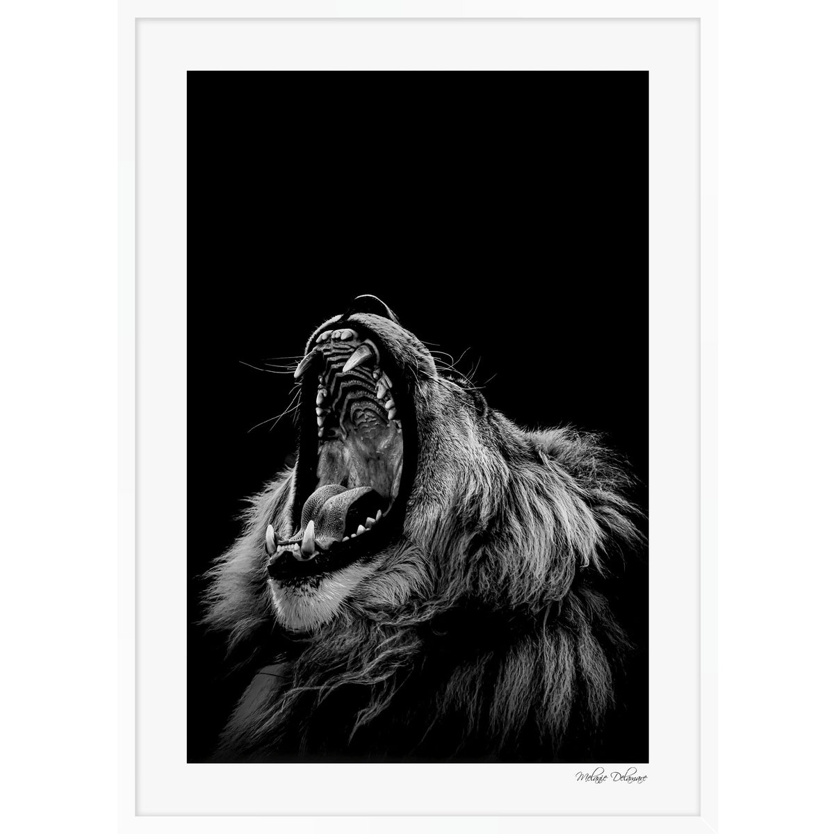 Roarrr