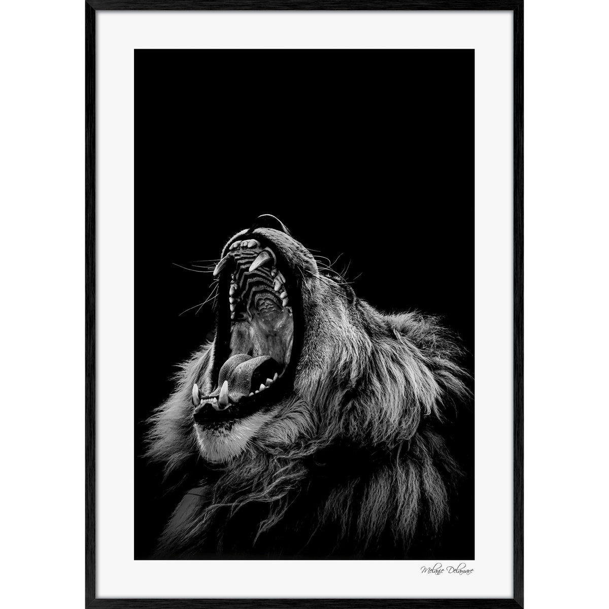 Roarrr