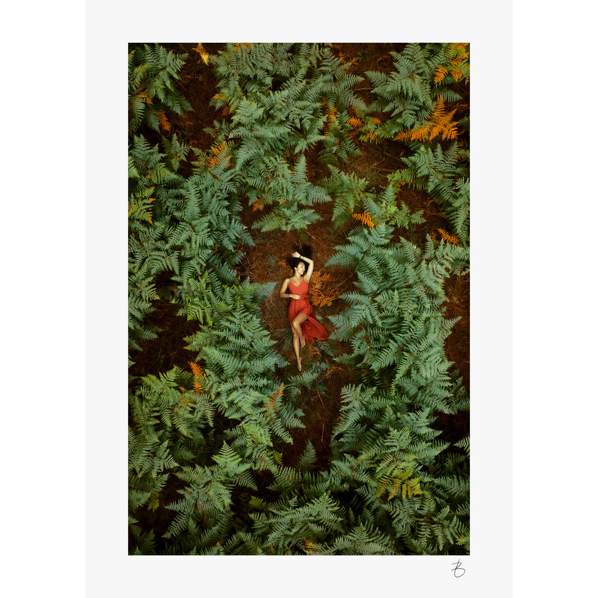 Secret Garden