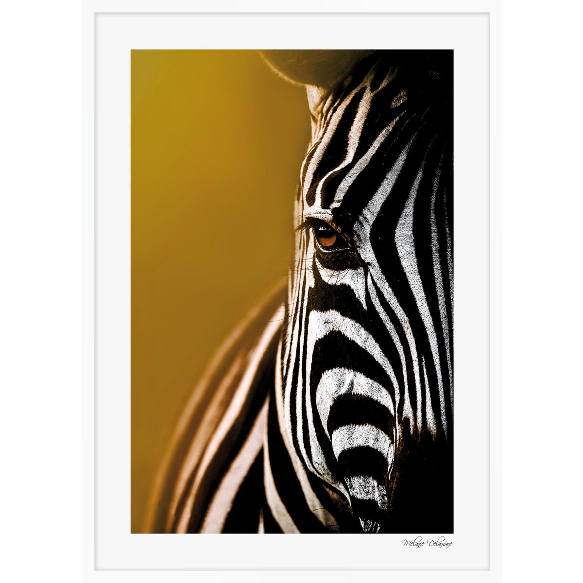 Stripe is my elegance