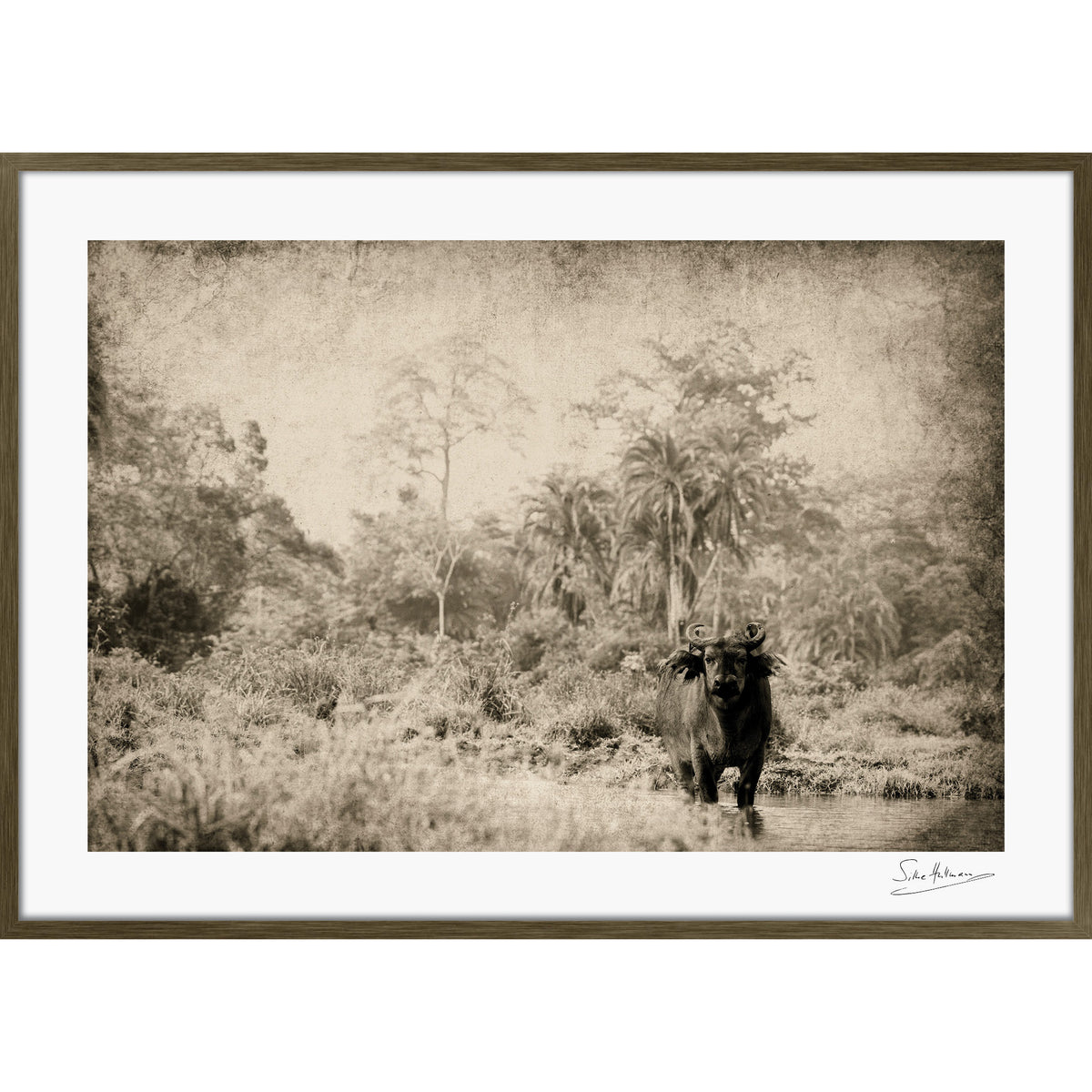 The Wanderer