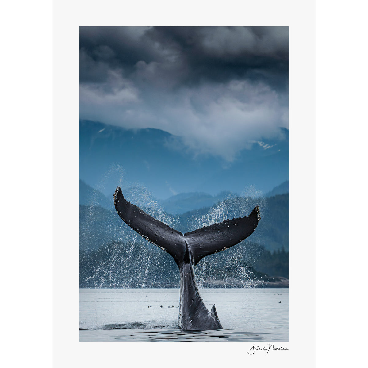 Vancouver Island