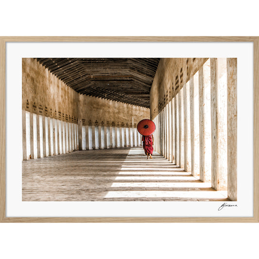 Walk the light