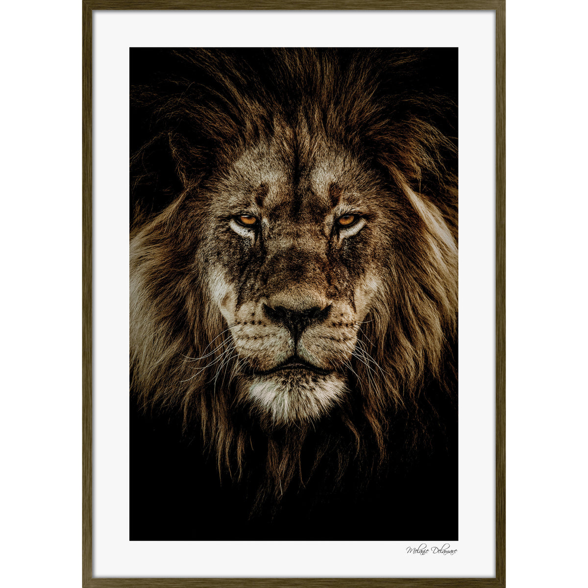 Wild Majesty