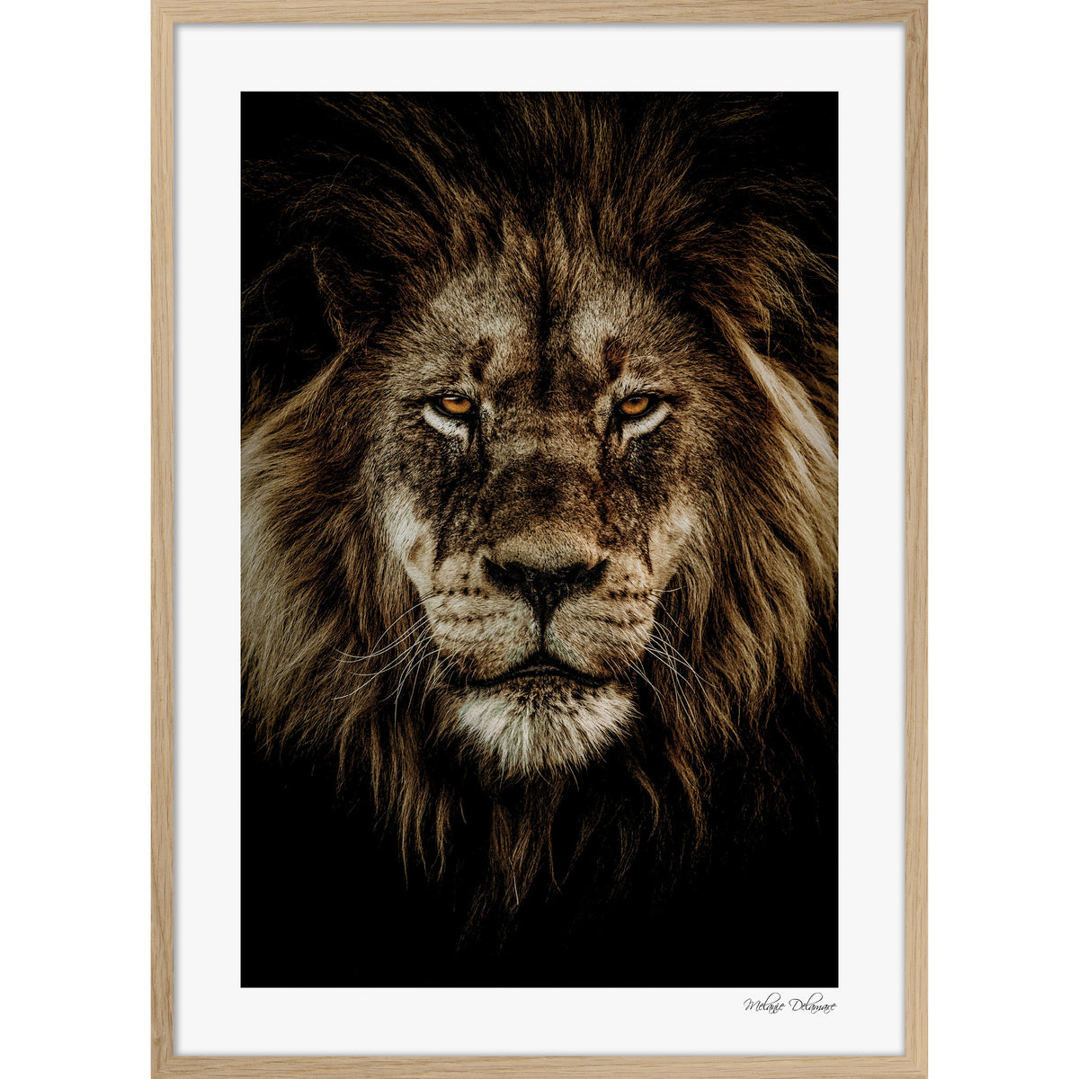 Wild Majesty