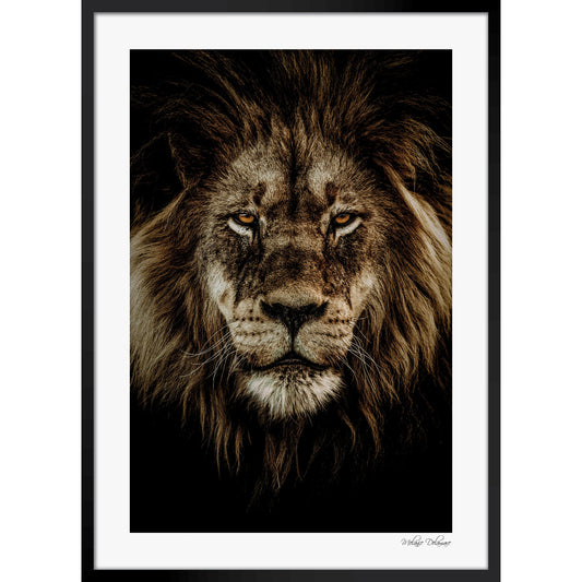Wild Majesty
