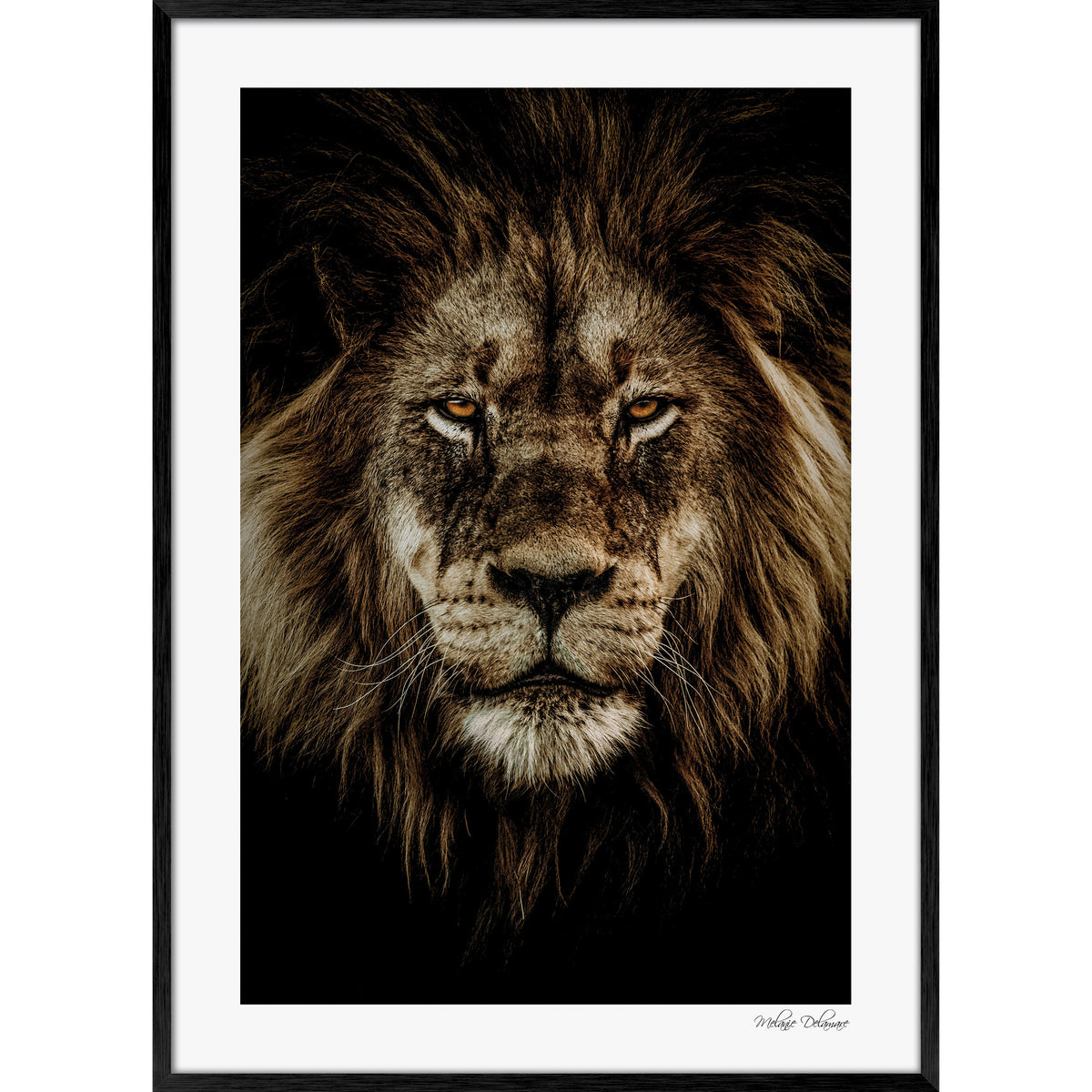 Wild Majesty