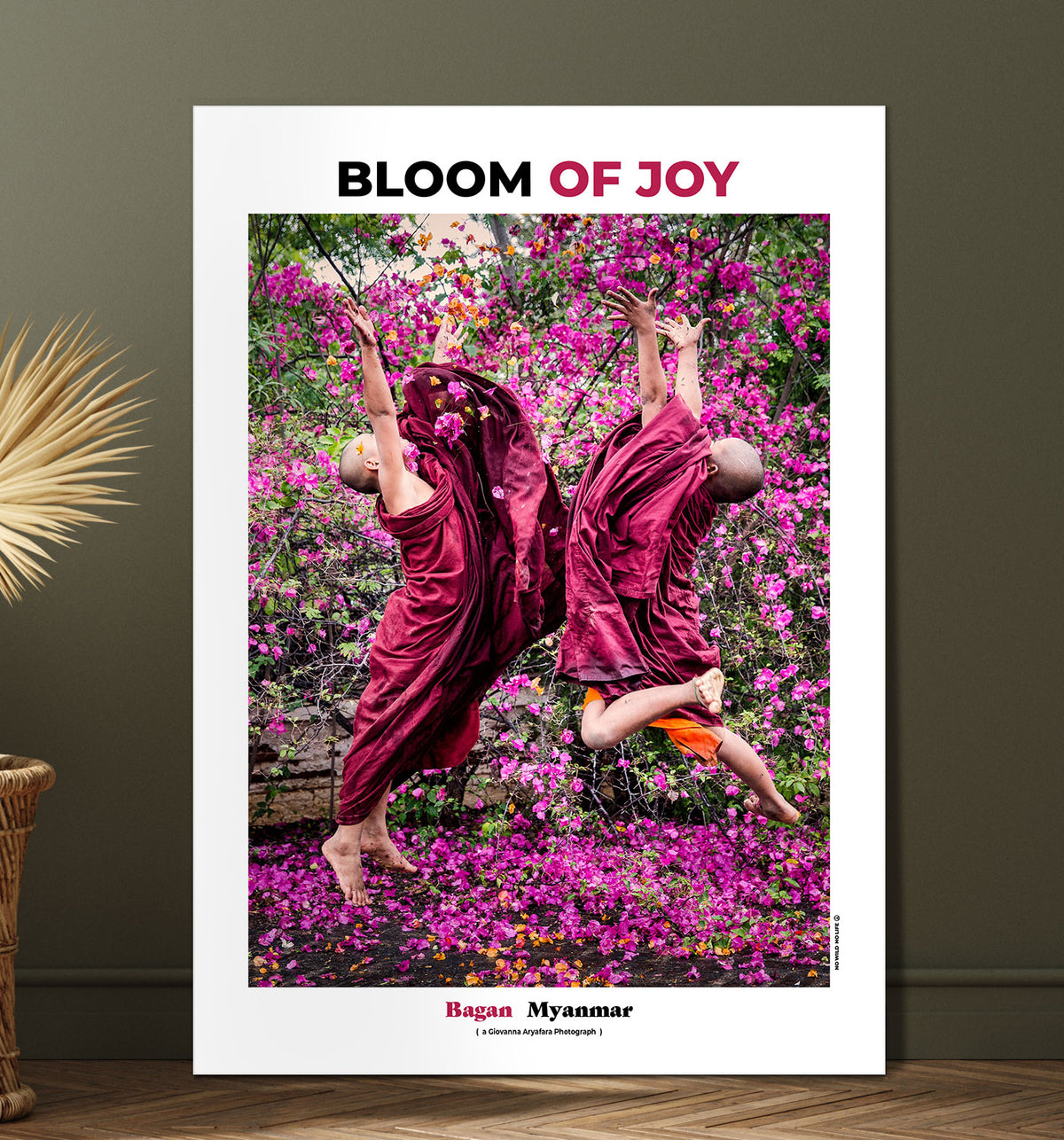 Bloom of Joy