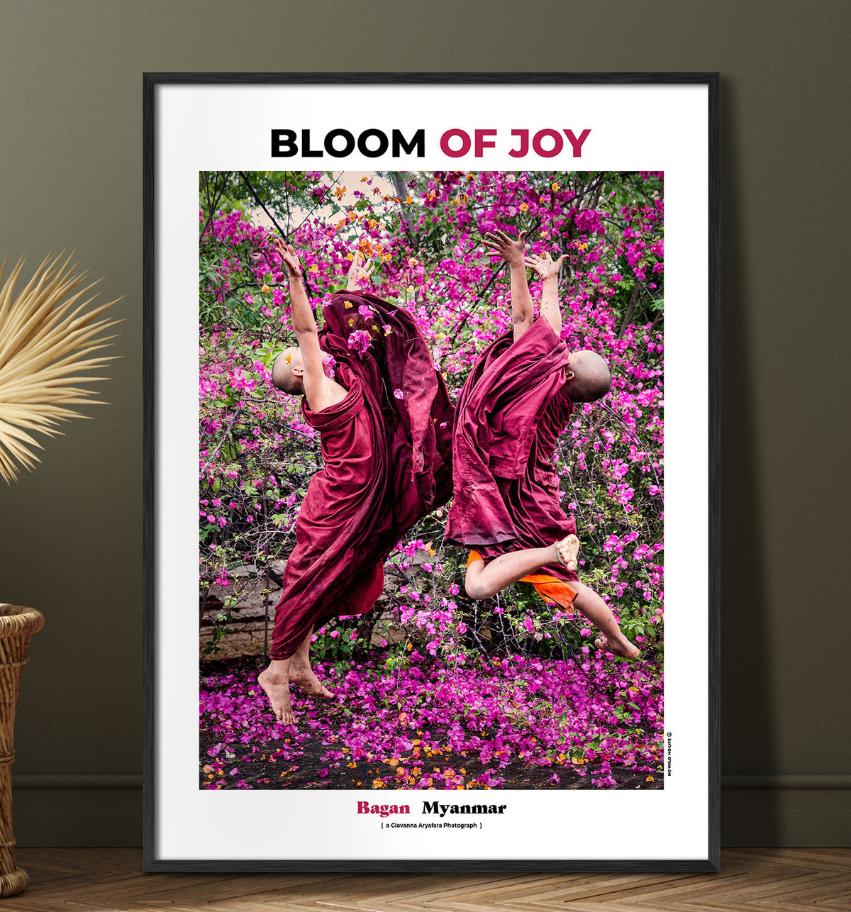 Bloom of Joy
