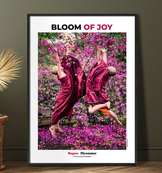 Bloom of Joy