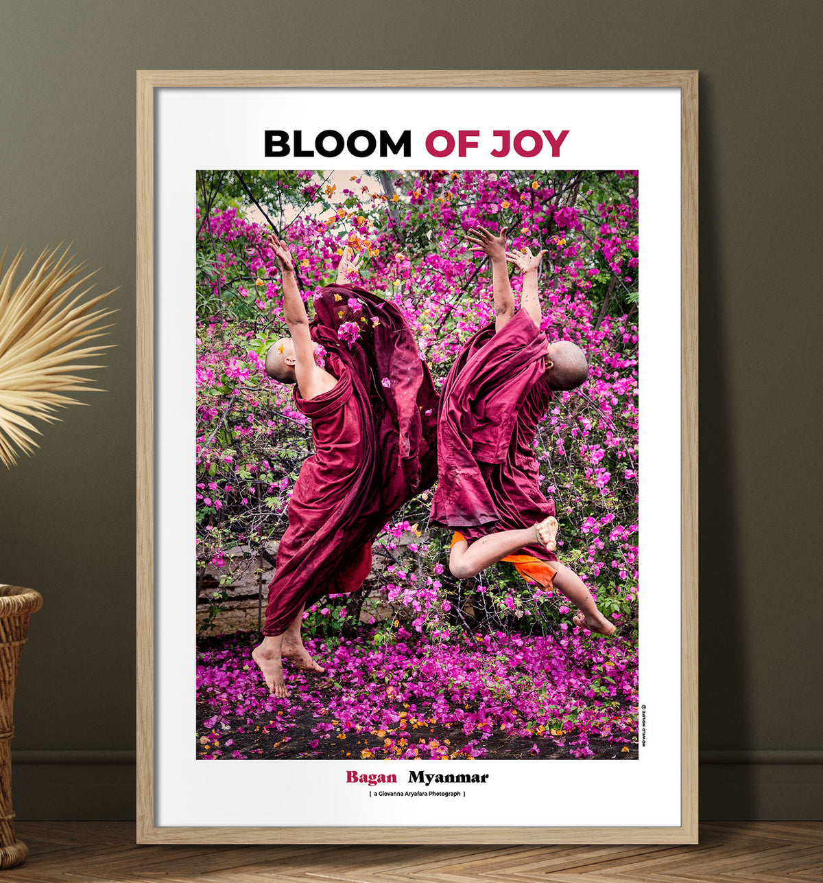 Bloom of Joy