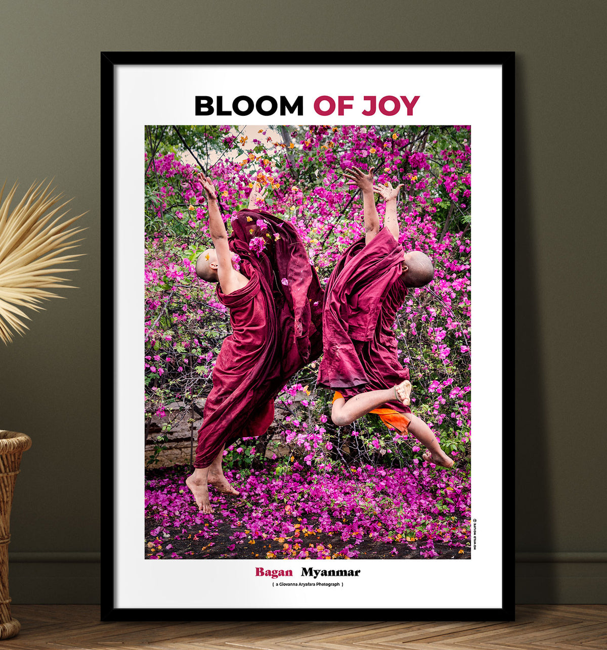 Bloom of Joy