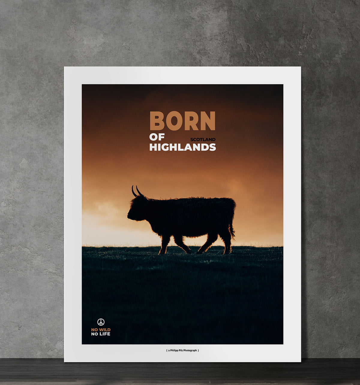 Born of Highlands