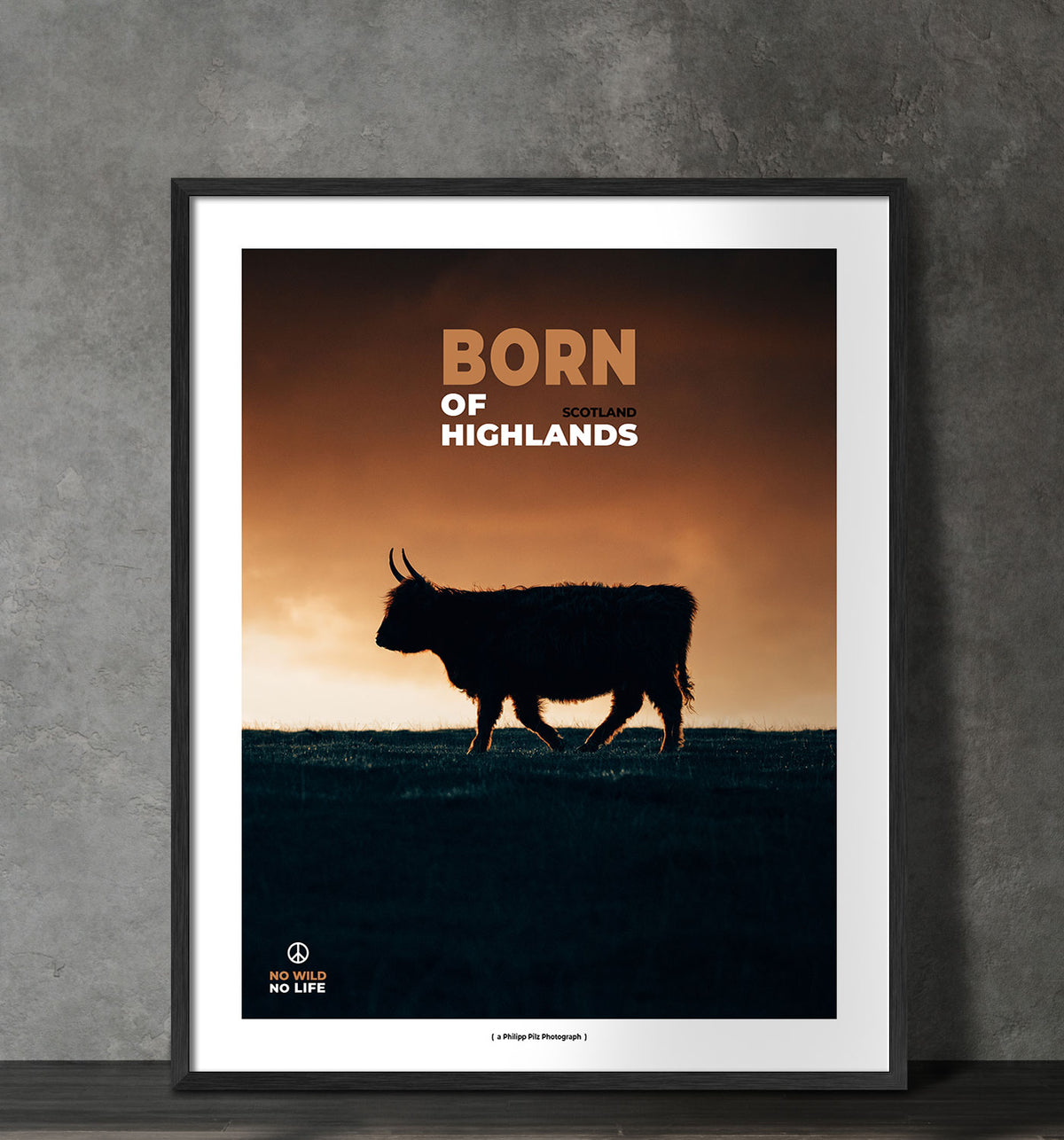Born of Highlands