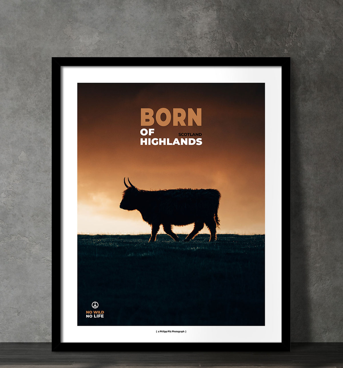 Born of Highlands