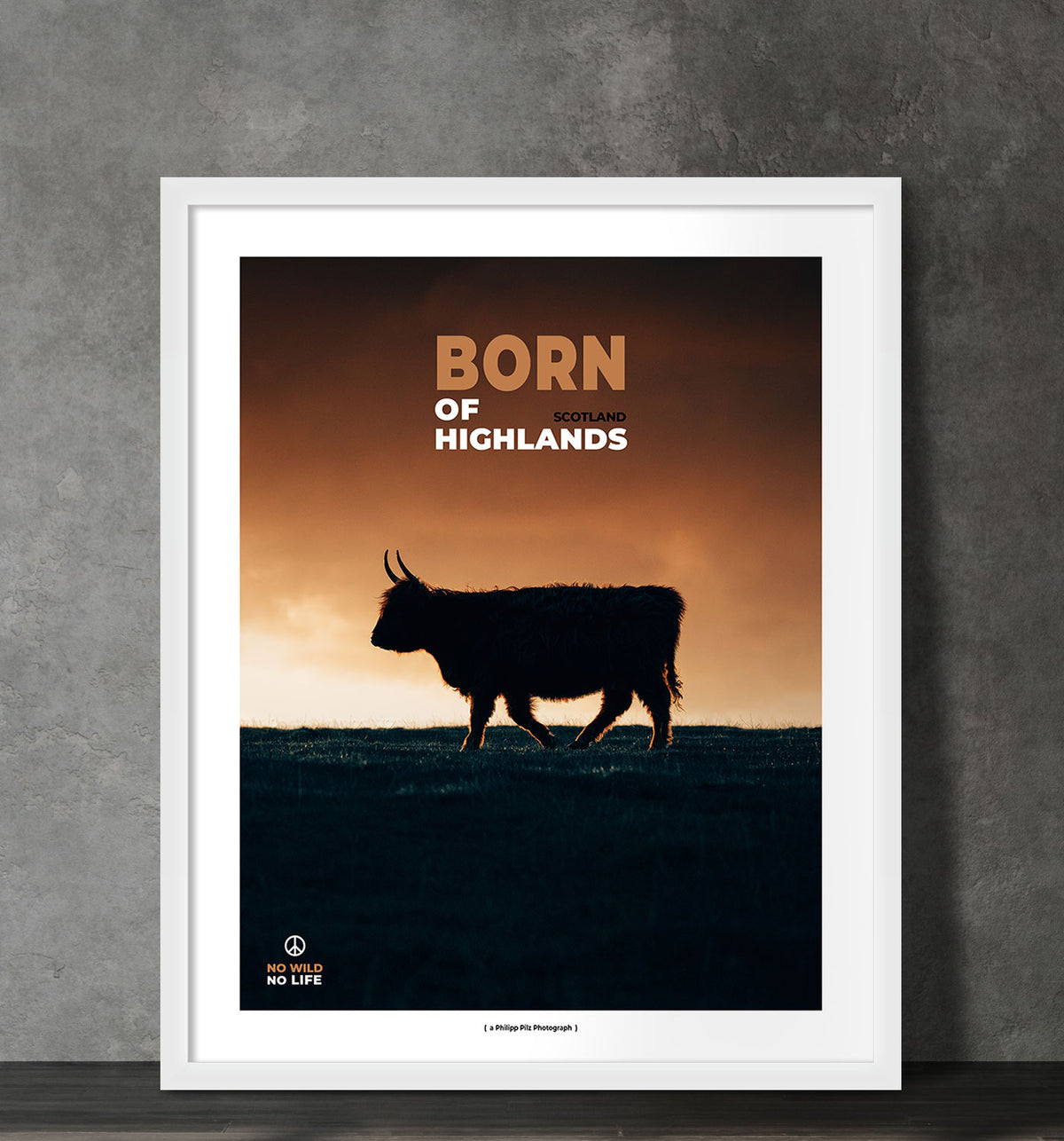 Born of Highlands