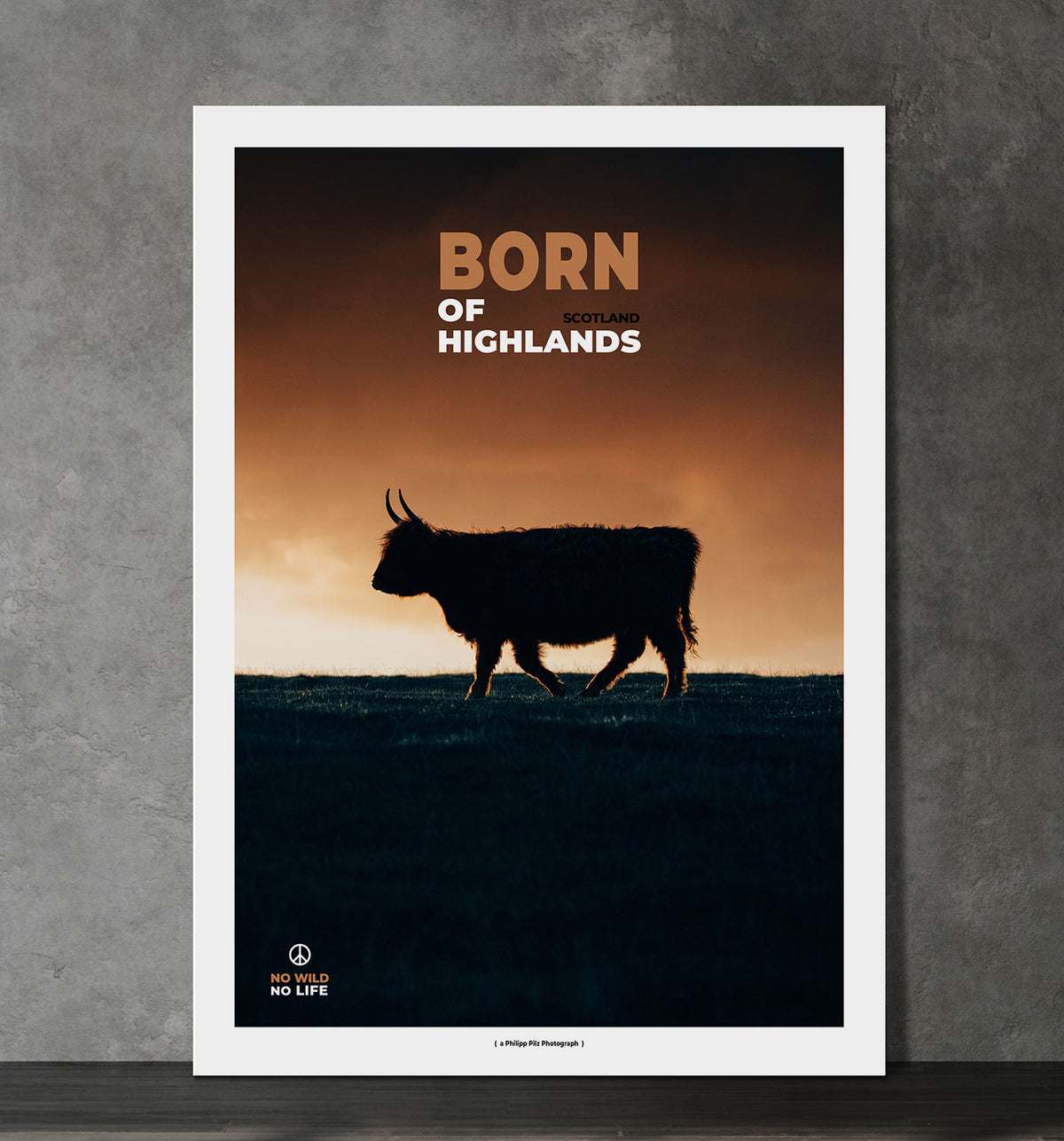 Born of Highlands