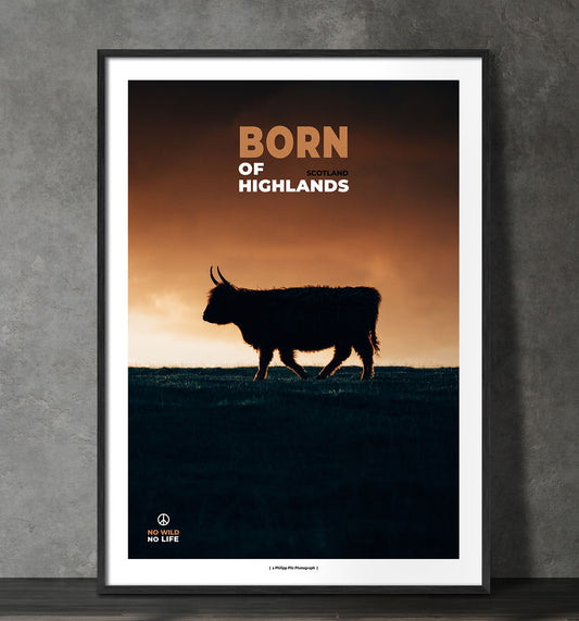 Born of Highlands