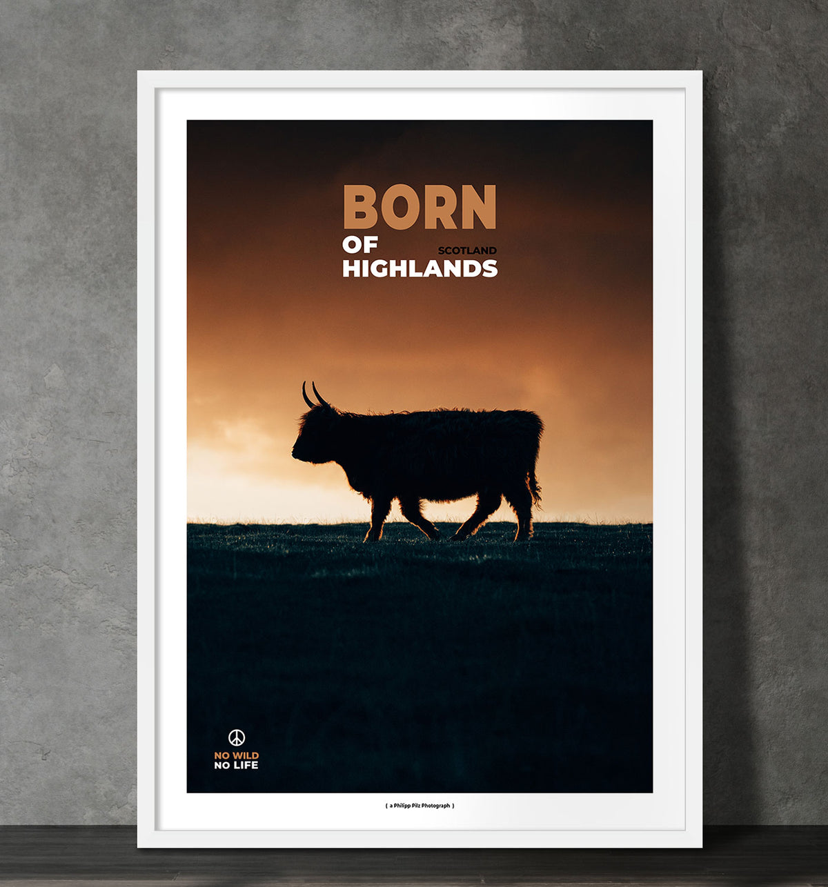 Born of Highlands