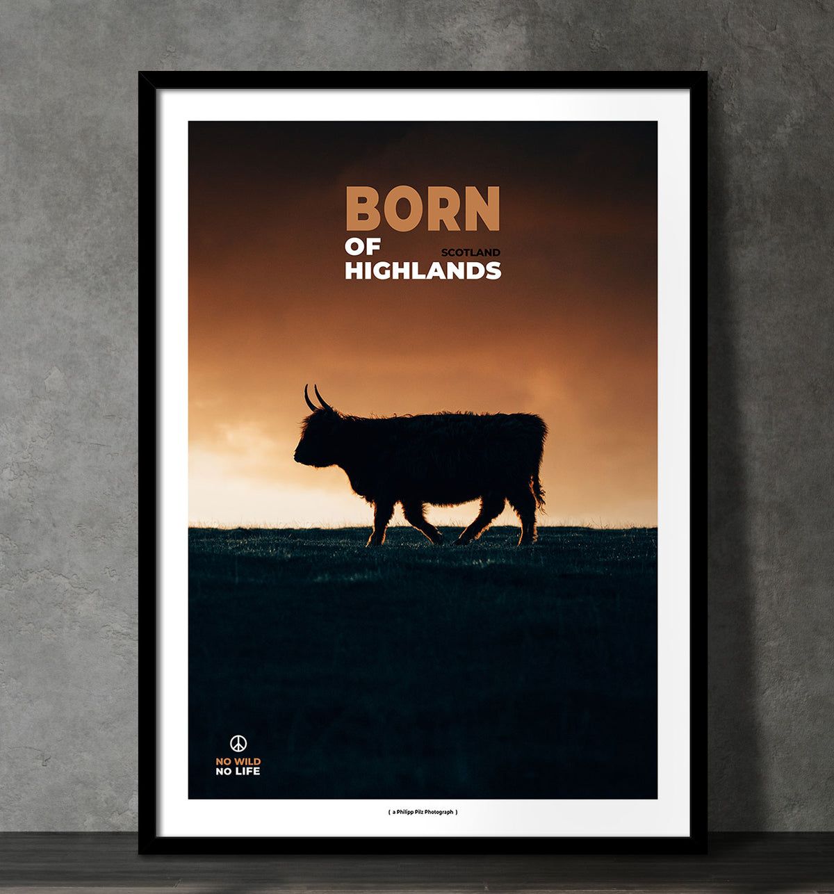Born of Highlands