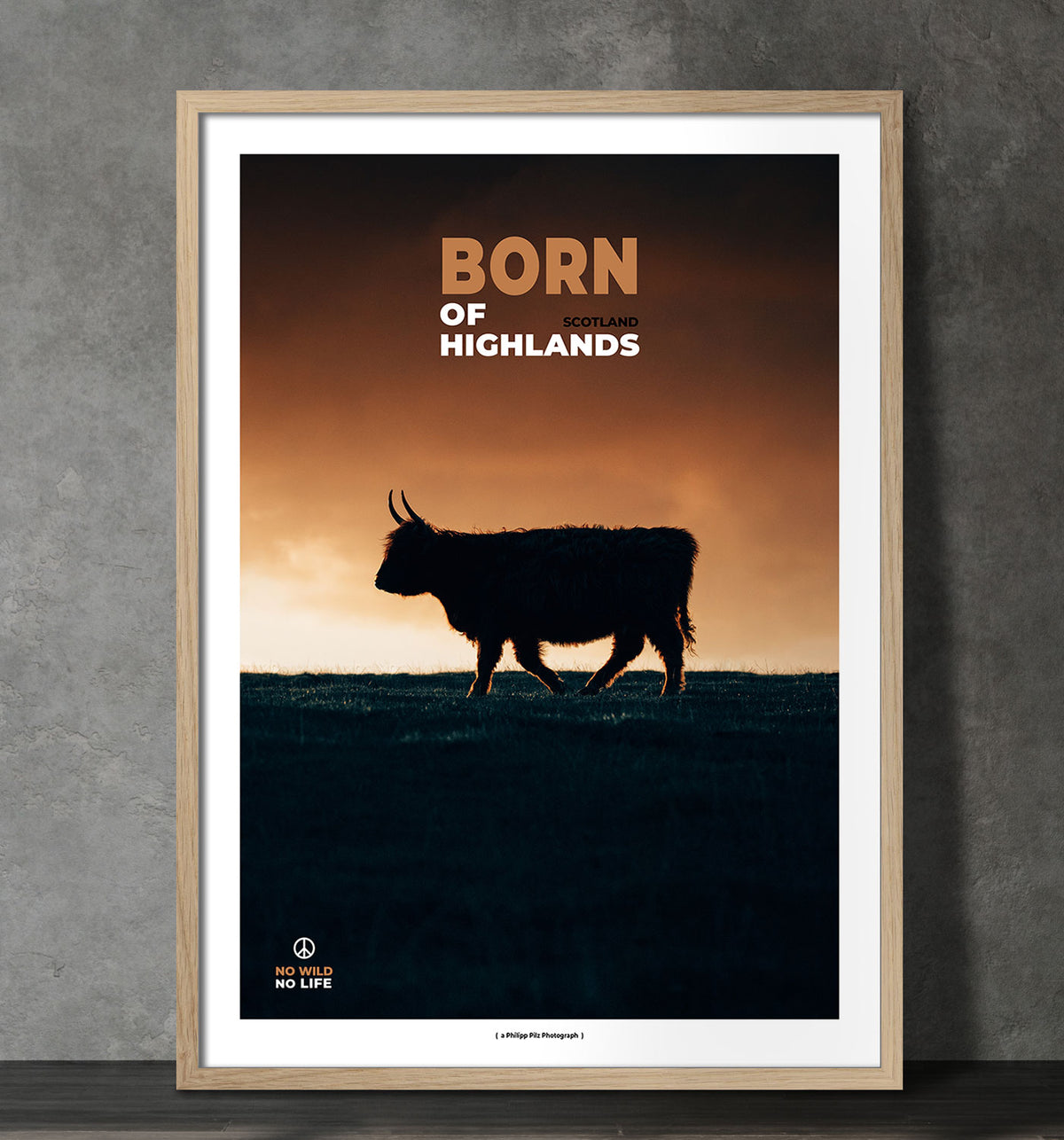 Born of Highlands
