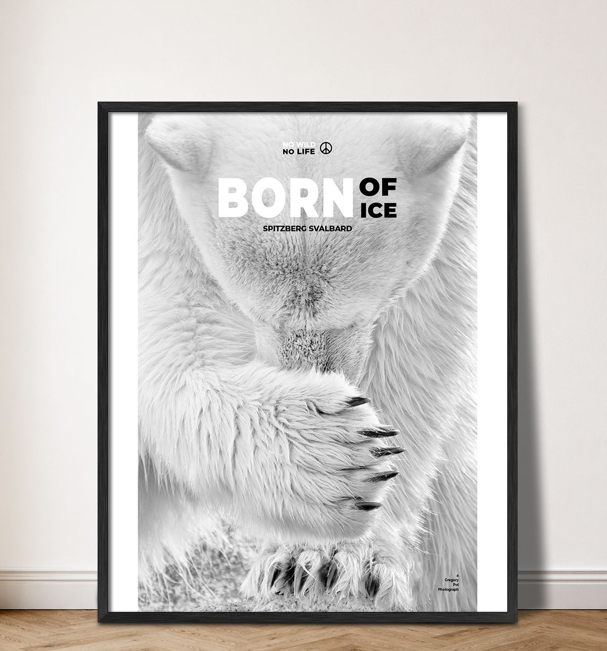 Born of Ice
