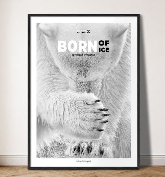 Born of Ice