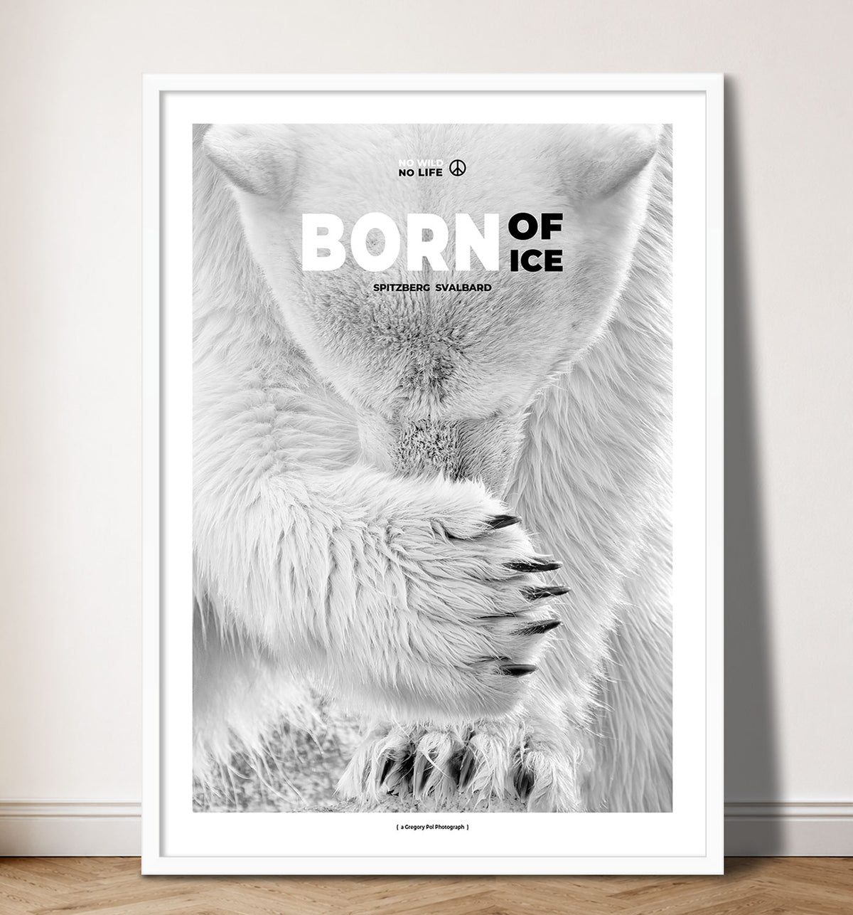 Born of Ice